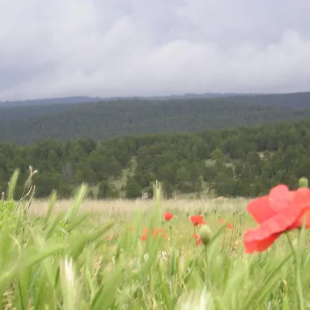 Lägenhet Naturaleza *