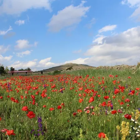 Naturaleza Mosqueruela