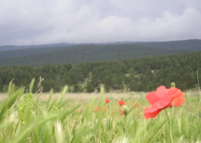 Appartement Naturaleza *