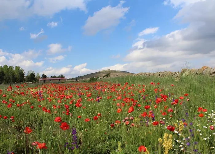 Naturaleza Mosqueruela
